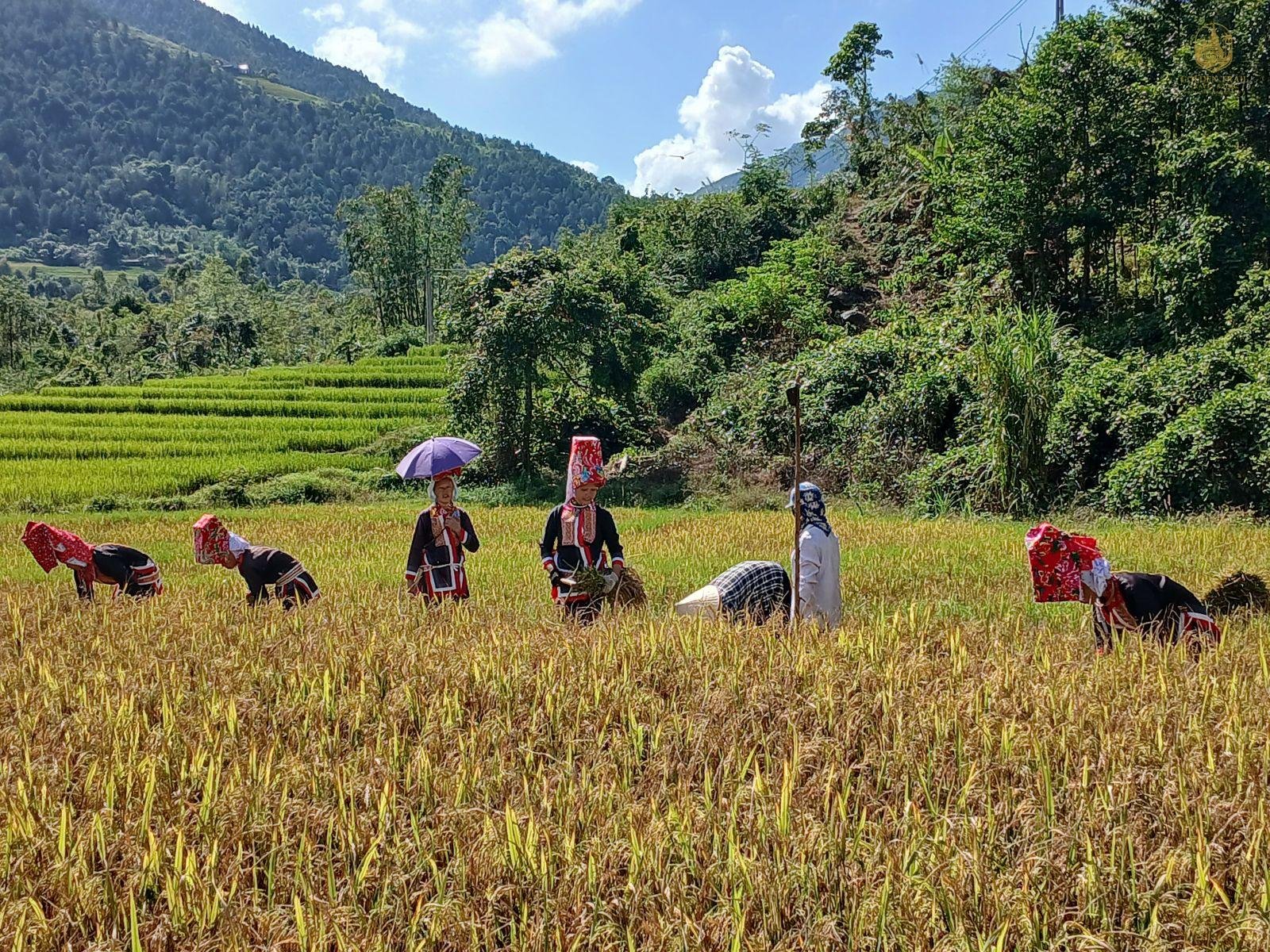 Binh Lieu Tribal Trails & Dinosaur Spine 3 Days